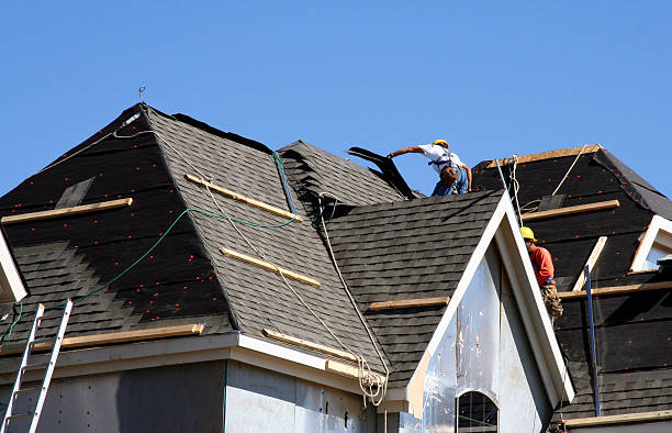 Best Roof Gutter Cleaning  in Falfurrias, TX